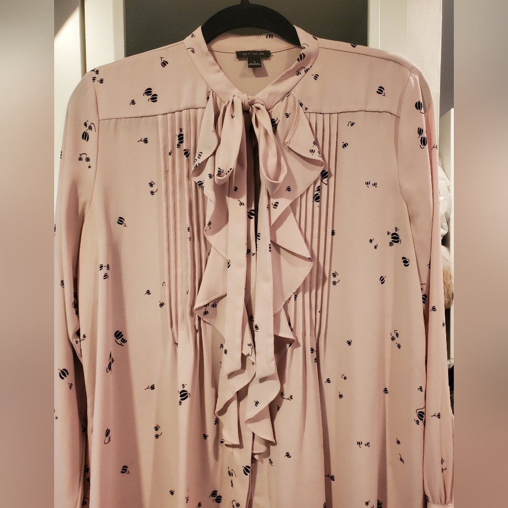 Ann Taylor blouse